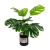 artificial plant